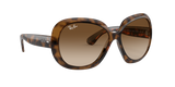 Lentes De Sol Rb Jackie Ohh II Rb4098n (Carey-Café degradado)