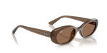 Lentes De Sol Rb4441D Bio-Based Carey Café